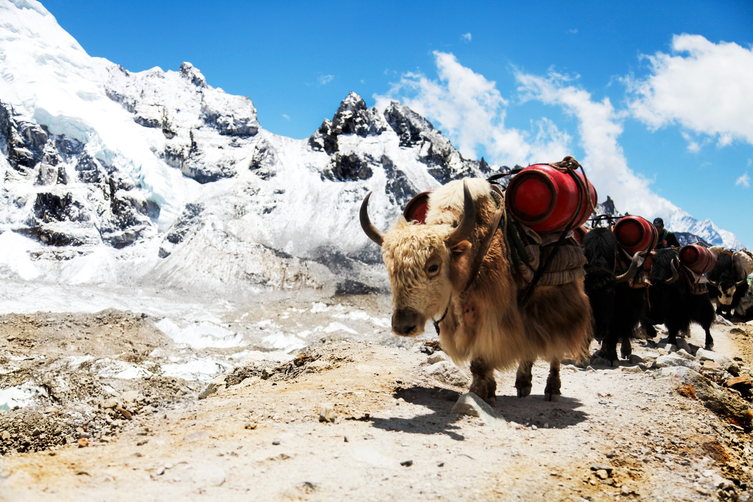 Hvorfor Everest Base Camp-turen i Nepal ikke er et billig eventyr