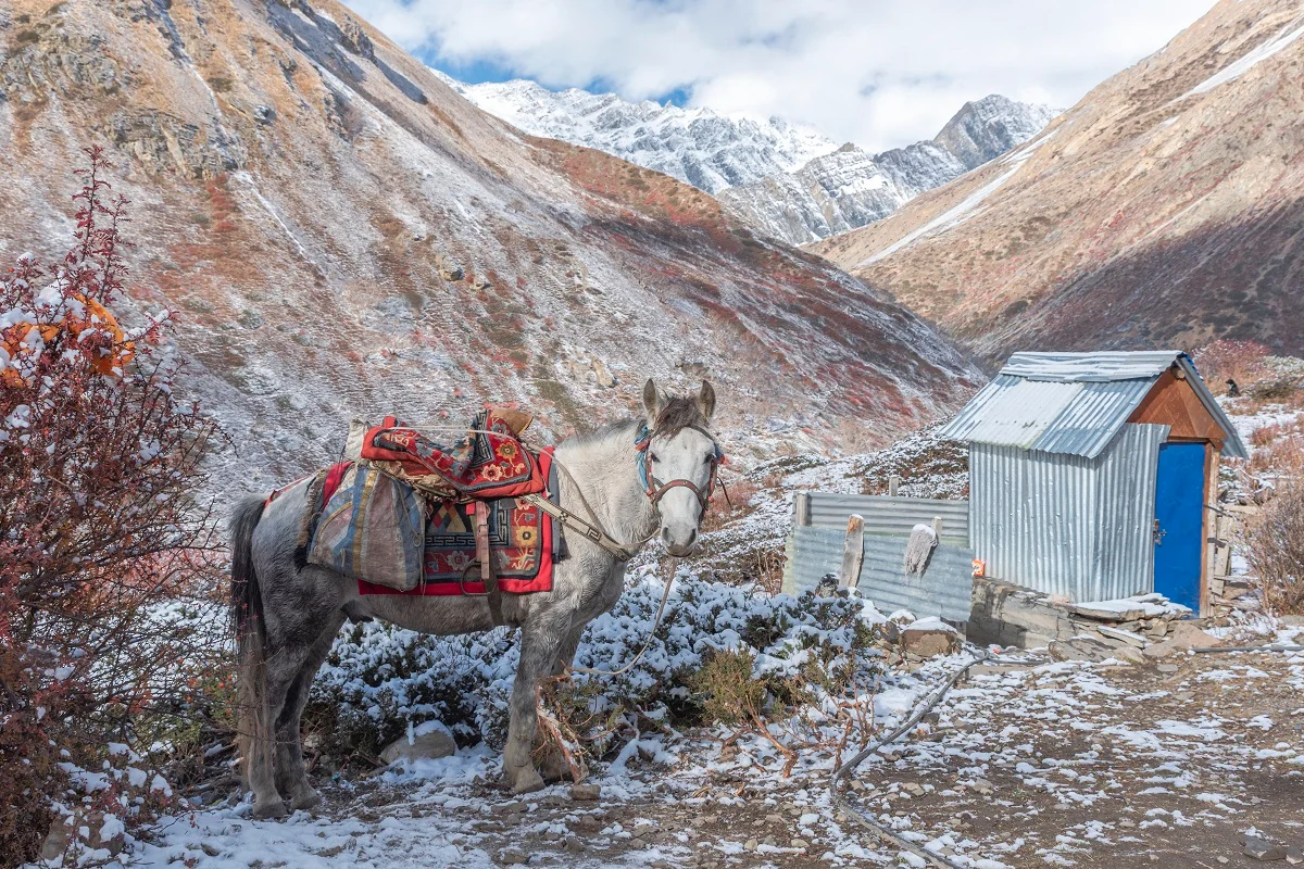 Eventyepakke: Mystiske Dolpo – Himalayas Skjulte Perle