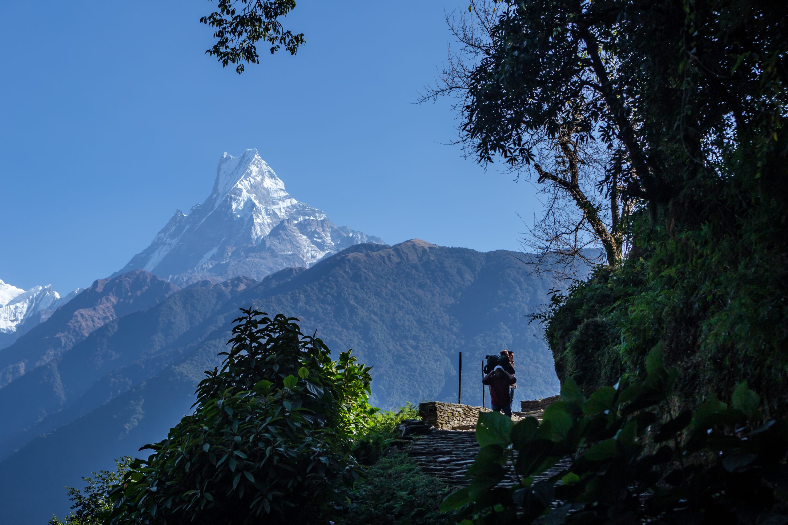 Fishtail fjell på landet i Nepal via ABC trekking